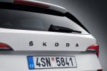 Skoda Kamiq Monte Carlo 2019 года (WW)